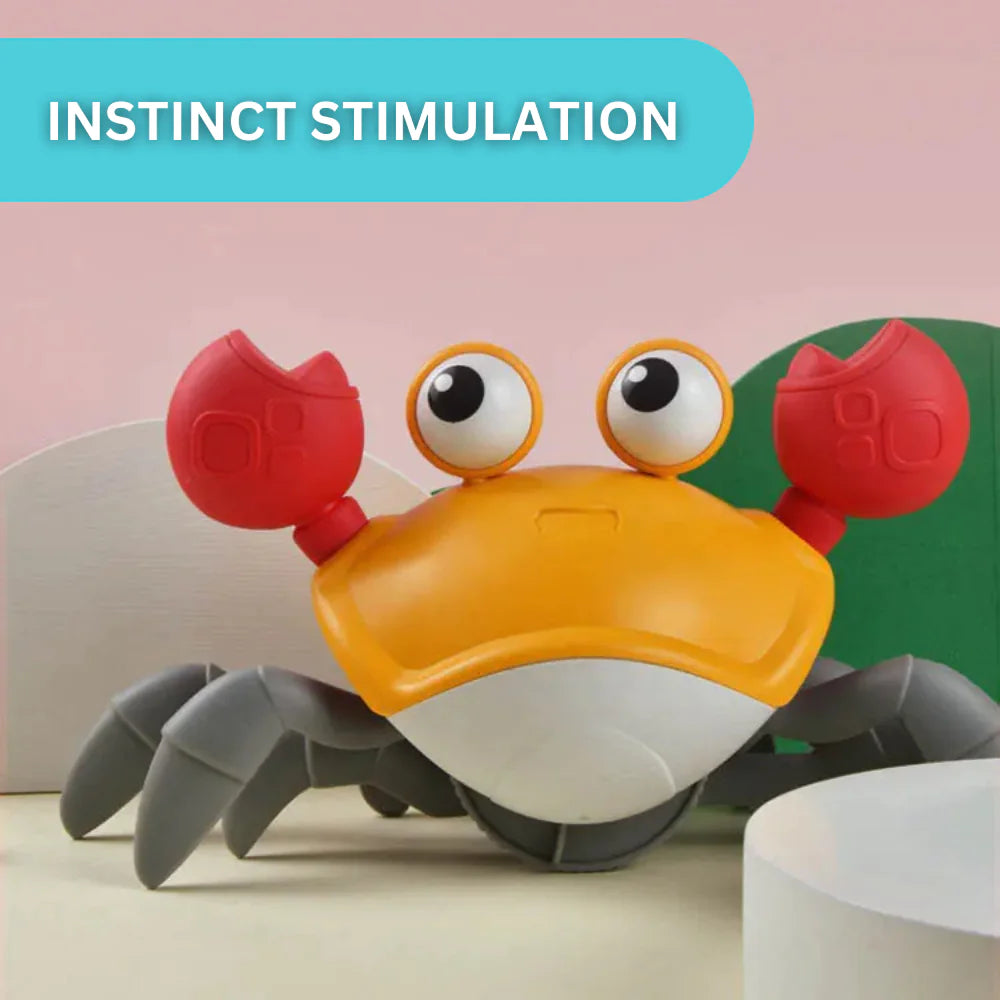 Crawling Crab Adventure Toy