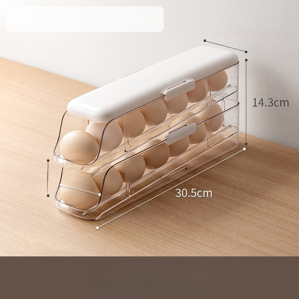 Egg holder dimensions